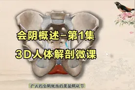 会阴概述-第1集-会阴-3D人体解剖微课