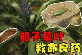 绿色地狱3：找到大量草药，制作救命良药，没想到真派上用场了！
