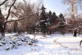 哈尔滨工业大学 宣传片 世界名校 哈工大  黑龙江  东北 三省视频封面