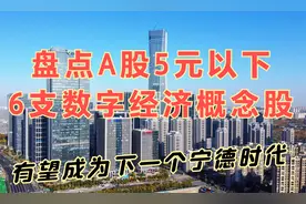 A股：盘点5元以下的6支数字经济概念股，有望成为下一个宁德时代视频封面