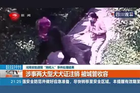 安阳通报“狗咬人”事件处理结果，当事人被撤职，多名干部被问责