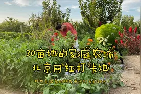 带你转转在北京30亩的家庭农场，有花、有菜、有果的网红打卡地