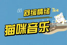 这是一首对77%的猫咪都有效的猫咪催眠神曲~好听！