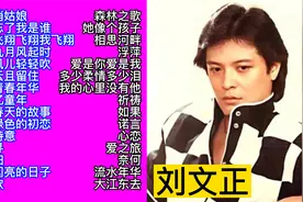 怀旧金曲：刘文正经典歌曲精选30首大联唱