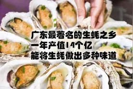 广东最著名的生蚝之乡，一年产值14个亿，出海捞生蚝、品蚝宴