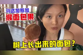 尝尝马达加斯加的猴面包树果，传说中树上长的面包，味道咋样？