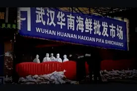 华南海鲜市场兴与亡：曾是华中规模最大水产市场，如今成众矢之的视频封面