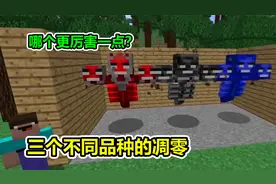 MC我的世界：进化出不同形态的凋零，哪个比较厉害一点？