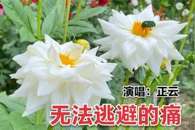 正云一首《无法逃避的痛》，走心的歌声，伤感又好听！