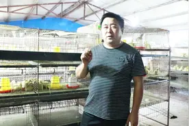 鹅苗5天能不能喂抗病毒的药？老张给大家讲讲其中的那些程序！