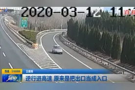 逆行进高速 原来是把出口当成入口视频封面