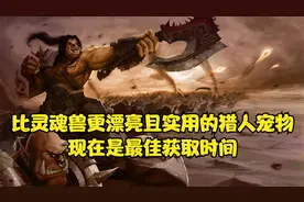 WLK有比灵魂兽还漂亮的猎人宠物?不但有而且更实用