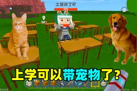 迷你世界：上学竟然可以带宠物！你们学校是怎么规定的呢？视频封面