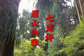 四川省眉山市洪雅县七里坪，避暑养老胜地，你去过吗？视频封面