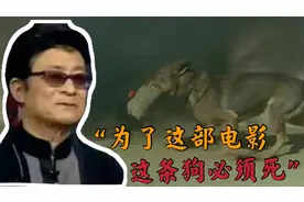 2464人要求“炸死”导演，为了效果炸死军勋犬的姚守岗，被骂了视频封面