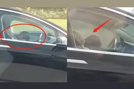 危！特斯拉道路行驶主副驾驶却呼呼大睡，隔壁车主：看着就害怕视频封面