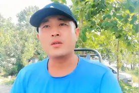 10亩地可以养多少只鹅?专家的话不一定全对，照搬会有经济损失