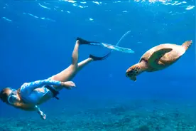 抖音里很火的一首神曲《Friendships》友谊