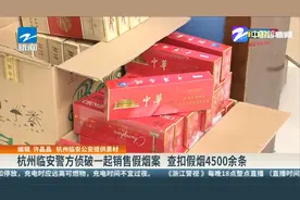 杭州临安警方侦破一起销售假烟案 查扣假烟4500余条视频封面