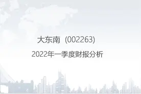 002263 大东南-2022年一季度财报分析.pptx