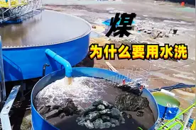 为什么刚挖出来的煤，要倒进水里清洗一遍，一句话我把问懵了视频封面
