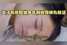 小女孩救了一只鸟。不知这是一只神鸟将来会变成她的夫君视频封面