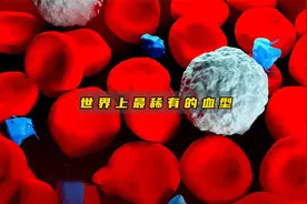 盘点世界上最稀有的五种血型，超出你的想象！