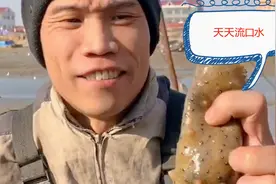 渔民小伙教你解剖海参，里面的内脏不能吃，一般人都没见过的场面视频封面