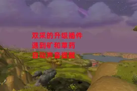 魔兽世界怀旧服：双采的神级插件，遇到矿和草药自动声音提醒视频封面