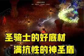 【暗黑2重制版】每天4小时系列，满抗性神圣盾，极品精神盾底材