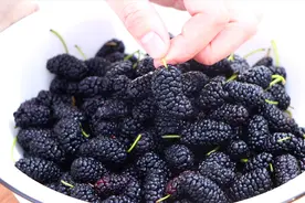 清洗桑葚时，有人加盐有人加碱，都错了，教你正确做法，太干净了