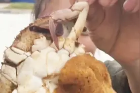 渔民大姐吃的带籽梭子蟹，肉还特别肥，网友：市场上买不到这样的