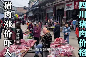 猪肉涨价太吓人一天一个价，四川今天多少钱一斤？一问大吃一惊视频封面