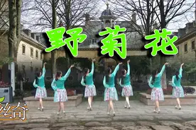 广场舞《野菊花》歌曲韵味悠长 舞蹈舒展大气 适合中老年学跳