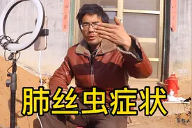 牛得肺丝虫后出现哪些症状？听听养牛小伙怎么说的，养牛知识分享