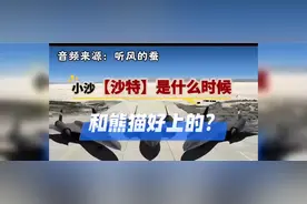听风的蚕：沙特是啥时候和熊猫好上的？#听风的蚕#军事视频封面