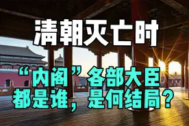 清朝灭亡时，内阁各部大臣都是谁，是何结局？视频封面