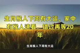 生肖猴人下周有大运，家中有猴人速看，错过再等20年