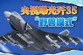 歼35不装了，开启12枚导弹野兽模式，打完敌舰后还能打10架敌机视频封面