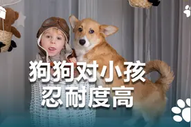 狗狗对小孩容忍度这么高，究竟是为啥？视频封面