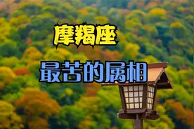 这几个属相的摩羯座太苦了视频封面