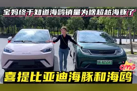 宝妈又提了一辆比亚迪海鸥，终于明白海鸥销量为啥超越比亚迪海豚