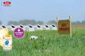 金领冠珍护a2奶粉怎么样：专家解读，品质保证