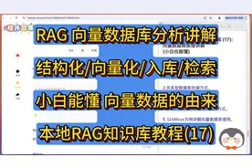 DeepSeek本地RAG知识库(17): 向量数据库原理讲解 (小白也能懂)视频封面