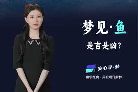 梦见鱼，是不是好梦？现代版《周公解梦》带你寻找梦境中的困惑。视频封面