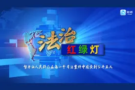 《法治红绿灯》49期：办案“加速度”助力探索法治护企“最优解”视频封面