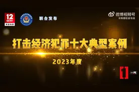 2023年度全国公安机关打击经济犯罪十大典型案例（央视社会与法）视频封面
