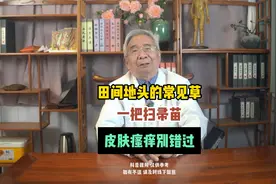 田间地头的常见草，一把扫帚苗，皮肤瘙痒别错过。