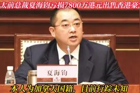 巨亏抛售豪宅！夏海钧香港房产降价甩卖，加拿大籍总裁新动向何在视频封面