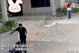 遛狗不牵绳 恶犬乱扑咬人 男子反应迅速徒手一招制敌自保！视频封面